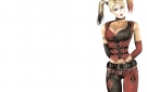 31390-batman-arkham-city-harley-quinn